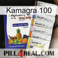 Kamagra 100 11
